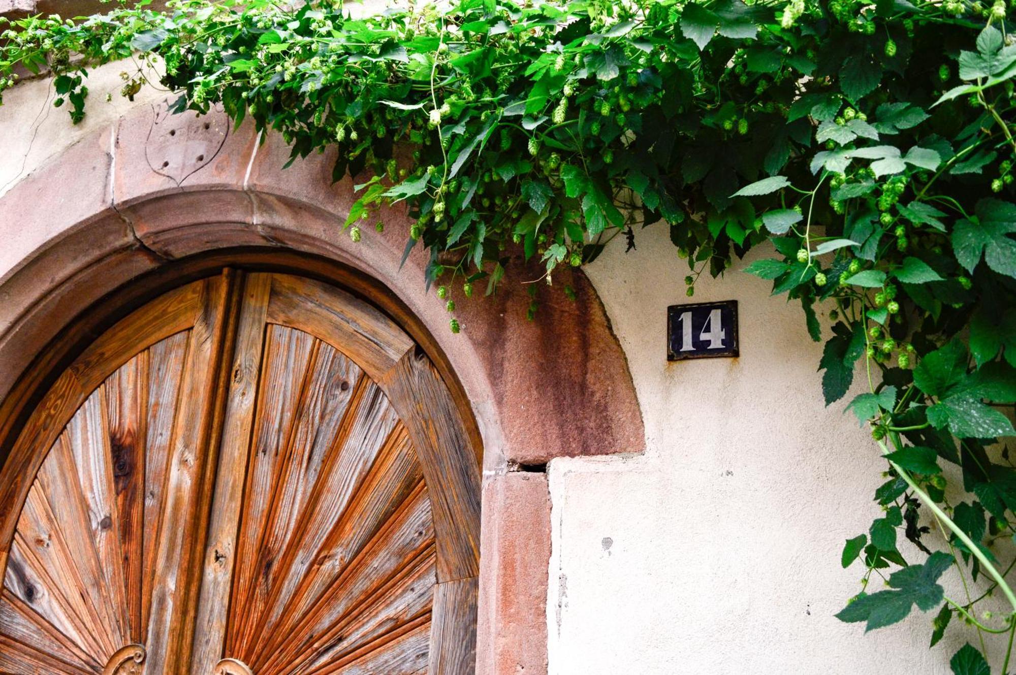 Apartamento Chaud'Vin Kaysersberg-Vignoble Exterior foto